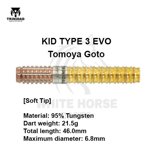 KID TYPE3 EVO Tomoya Goto: Evolution in Dart Design