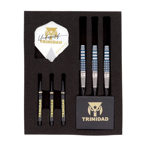 TRiNiDAD × Ryu ROMEKARI2 Soft Tip Darts - Torpedo Shape