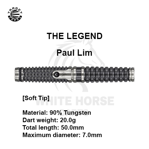 TIP RUNNER &DARTMAX TR30g・40g Target Darts: Your Guide to Perfect Shots - White Horse Darts
