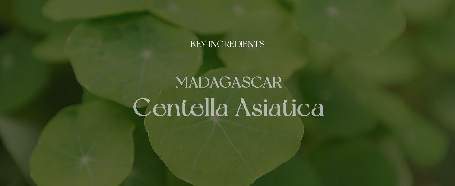 Madagascar Centella Ampoule Serum detail 6