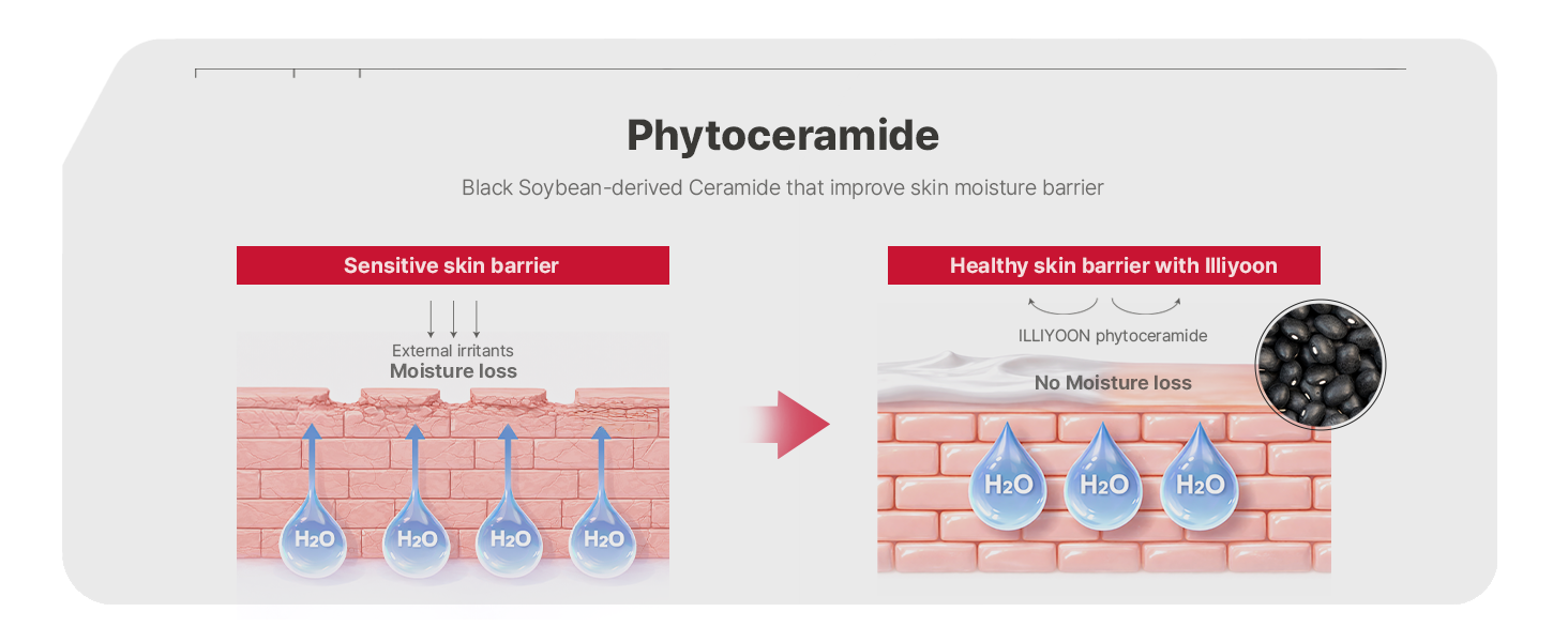 Ceramide Ato Lotion detail 3