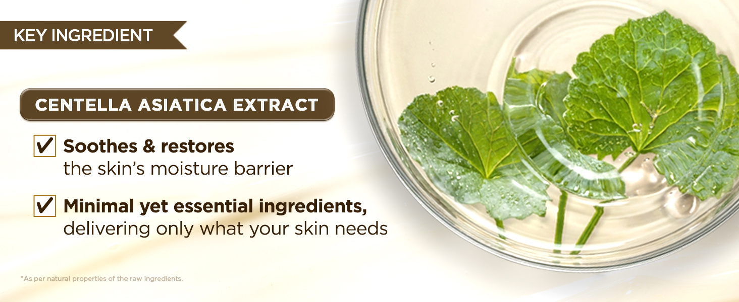 [Hudson's Pick] Madagascar Centella Ampoule detail 6