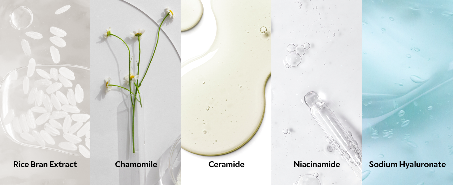 Milk Skin Rice Toner detail 6