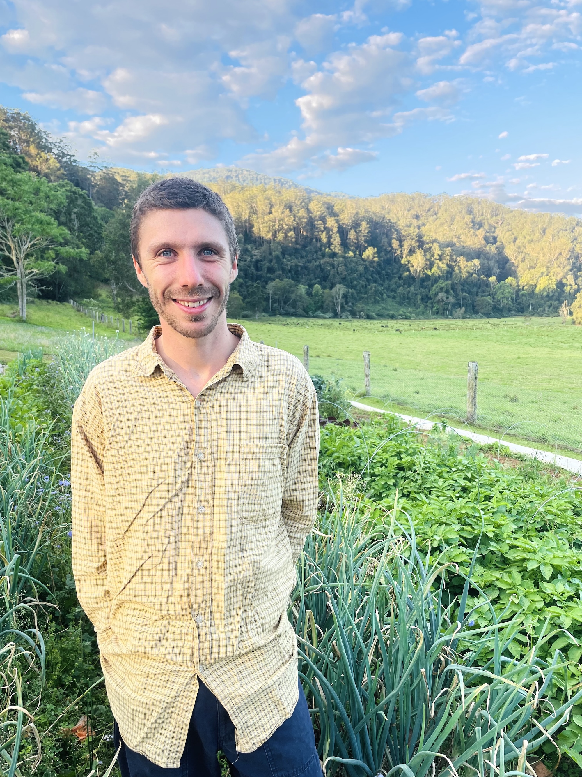 Archie's Darkwood Farm (Organically Grown) - Thora, NSW