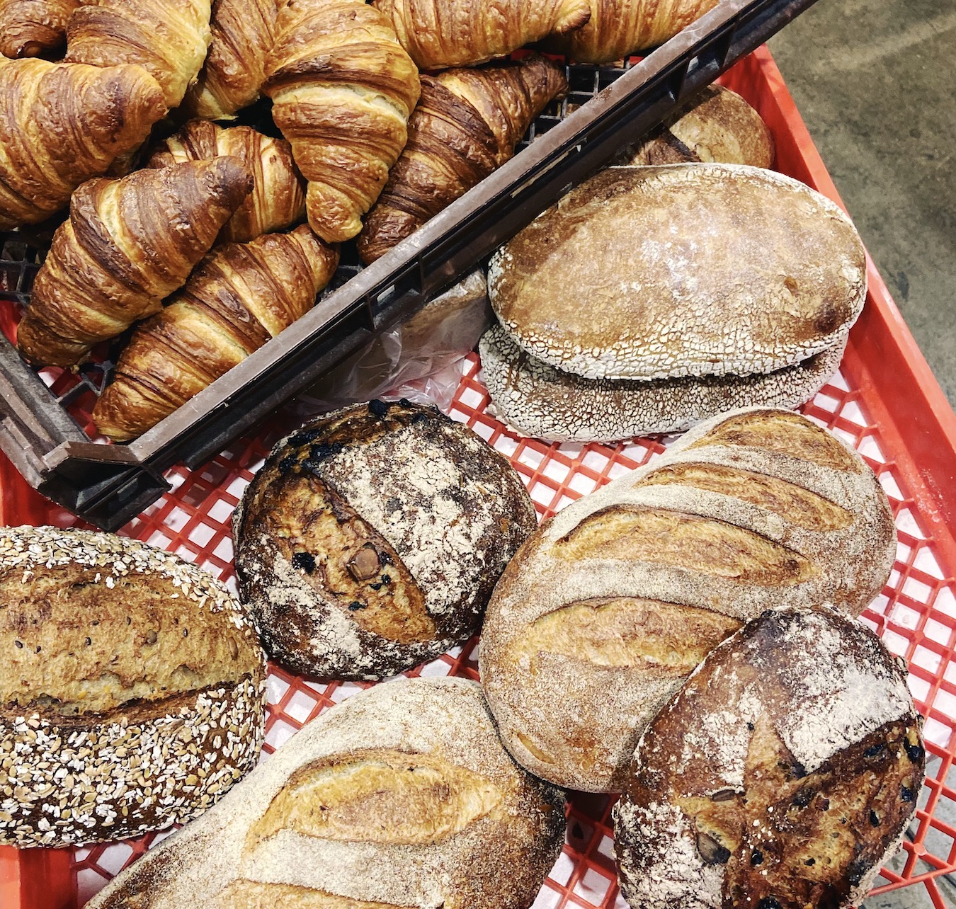 Hearthfire Bakery – Bellingen NSW