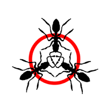 Artist Image