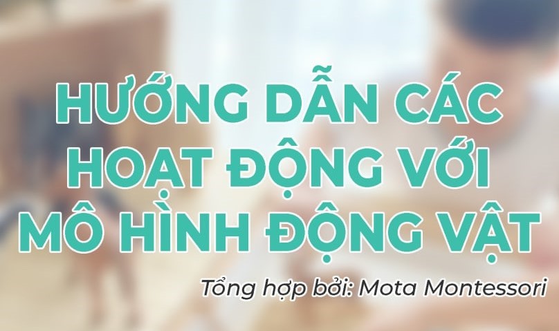 GỢI Ý CÁC HOẠT ĐỘNG VỚI MÔ HÌNH ĐỘNG VẬT