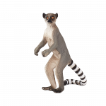 Mô hình vượn cáo