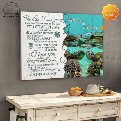 The Day I Met You Turtles Couple Wall Art Canvas 3 058fbb75 7bff 11eb ba90 0242ac120002 cv ngang 27x33 optimized