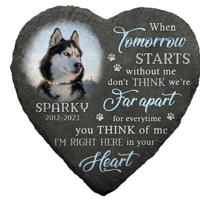 d4699c45 2449 11ee bdb9 0242ac120002 Screen20Shot202023 07 1720at2009.29.49