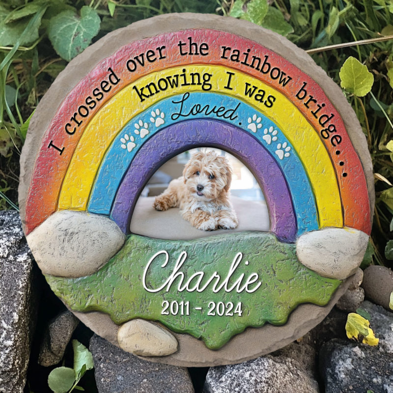 03aea0d6 77cb 11ef 8ef7 0242ac120002 5