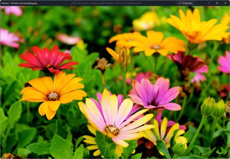 New MY Revamp GC