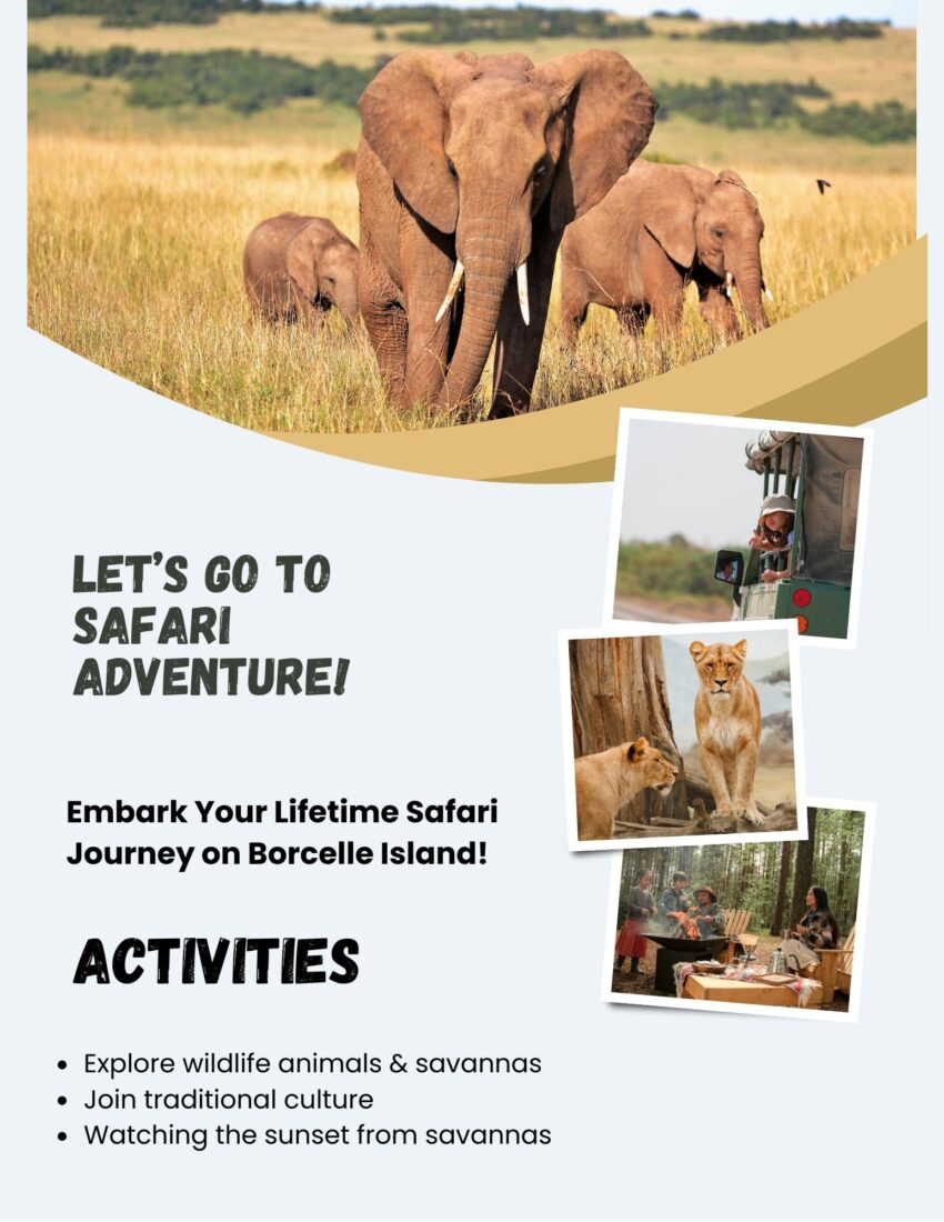 Reality Tours and Safaris 1 1