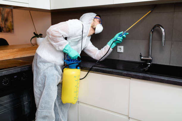 istockphoto 1250436886 612x612 1