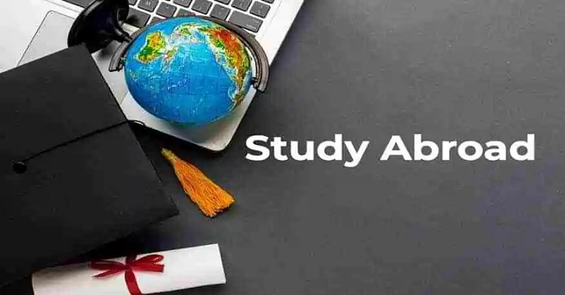 Top 5 Courses and Programs to Study Abroad