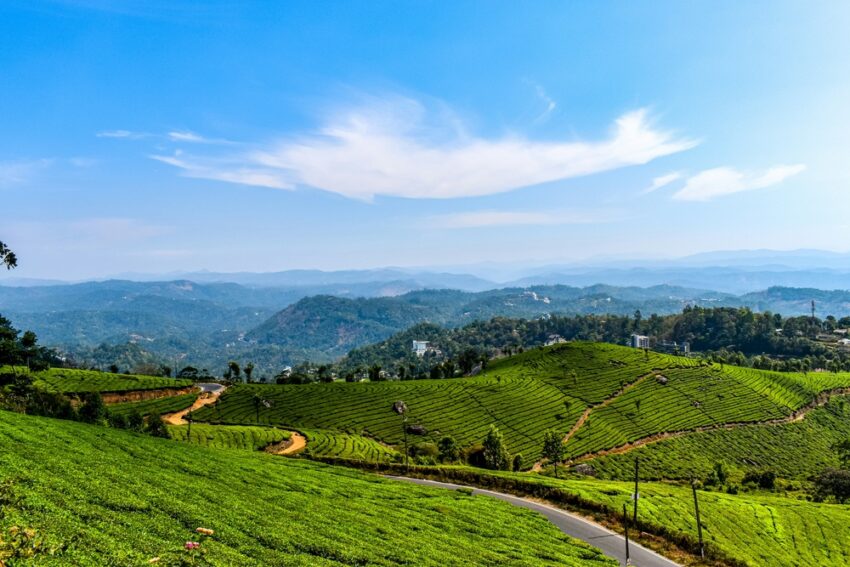 Step-by-Step Guide to Analyze Bank Financial Statements Effectively 1 munnar 1