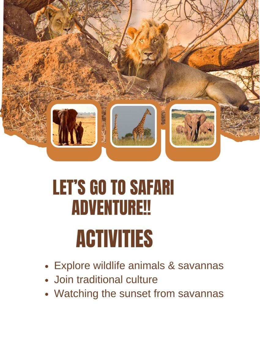 Reality Tours and Safaris 2