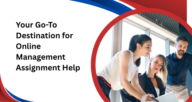 Management Assignment Help 12