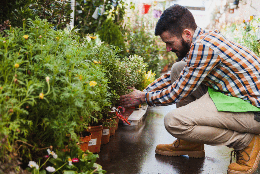 Screenshot 2025 11 12 160000