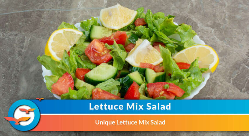 Lettuce Mix Salad