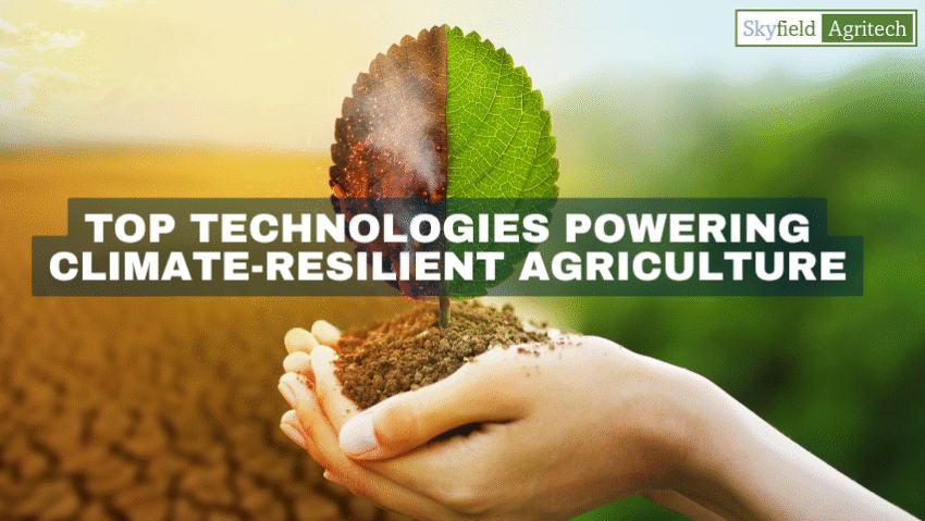 Top Technologies Powering Climate Resilient Agriculture in Arid Regions Skyfield Agritech