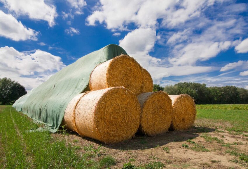 tarpaulins agriculture