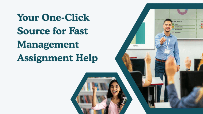 Management Assignment Help 4