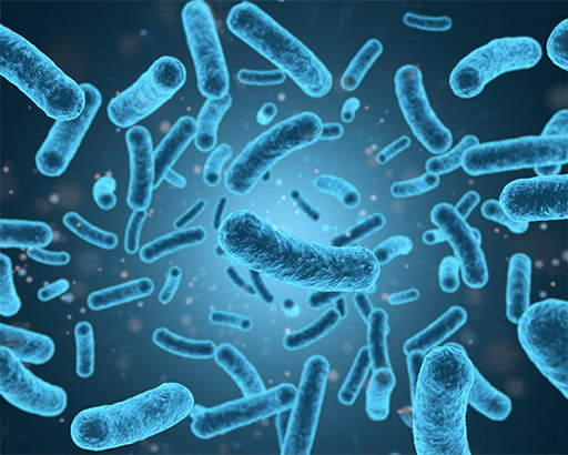 Probiotic Contract Manufacturer 1