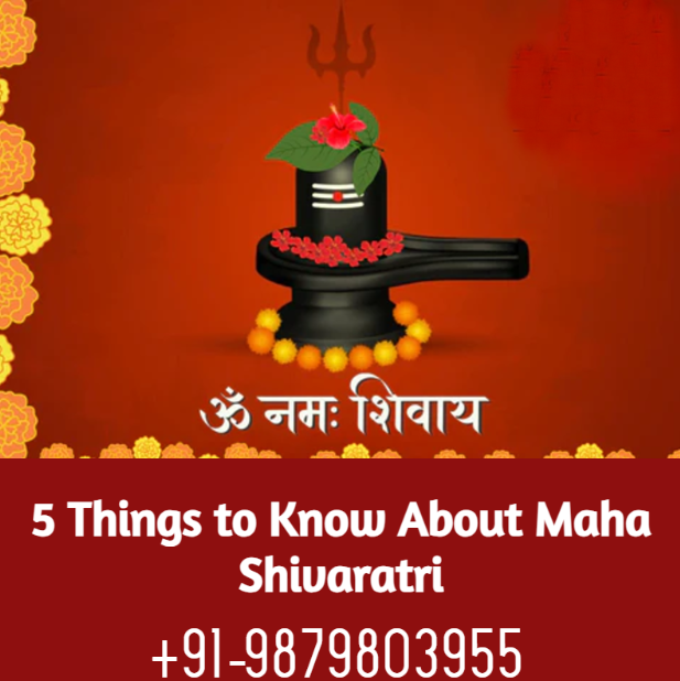 5 Things to Know About Maha Shivaratri
