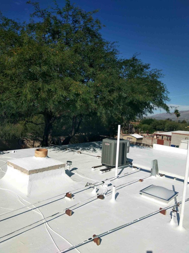 best quality 1634941518865 IMG 20211022 094129 1000h