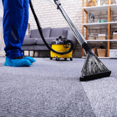 carpetcleaner orig