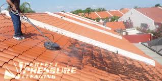 roofclean1