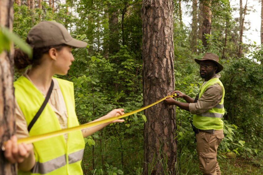 side view forest wardens measuring distance 1
