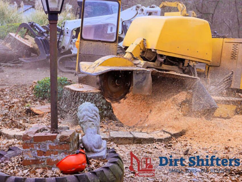 Stump Grinding Near You 1