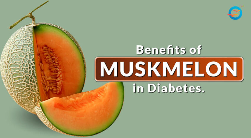 muskmelon for sugar control
