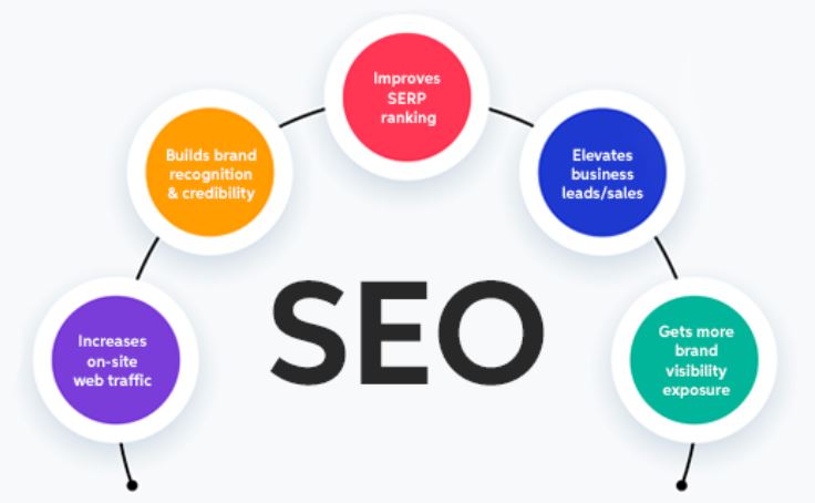 seo infographic