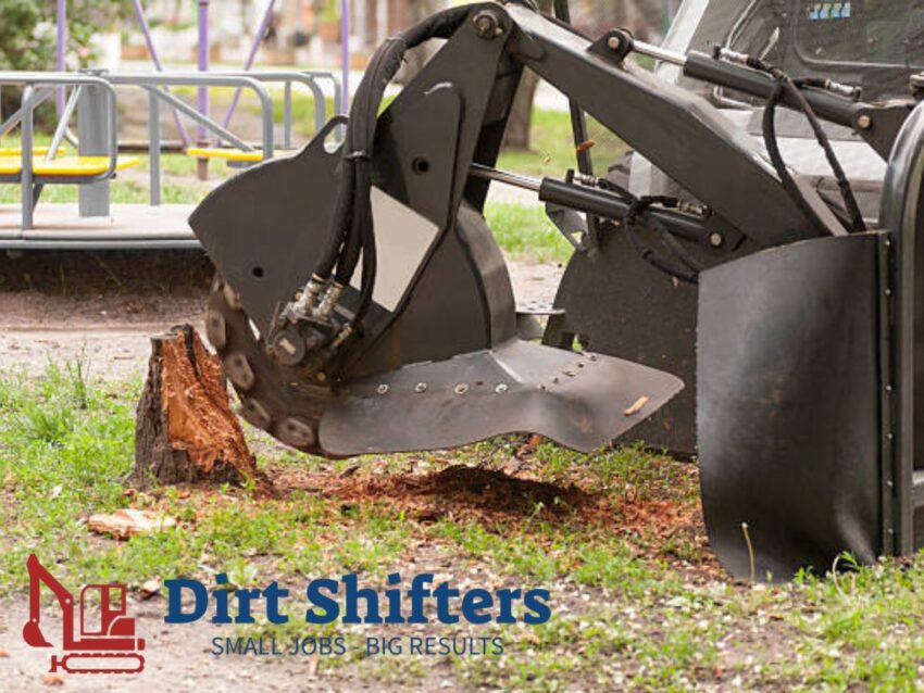 Stump Removal Near You 5