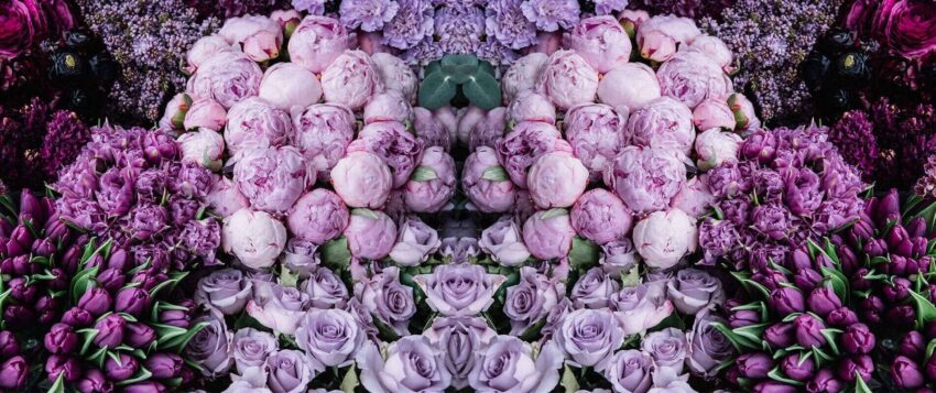 The Big Bunch Banner 3