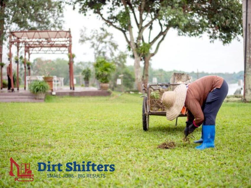 Landscaping Near You