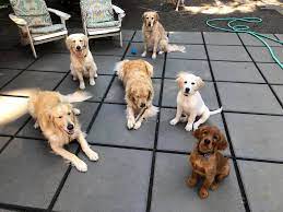 images 9