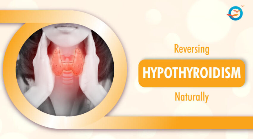 Reverse Hypothyroidism