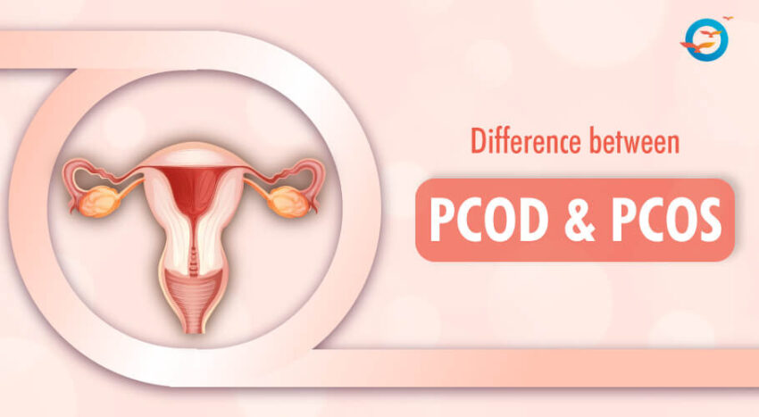 difference between PCOD PCOS 1