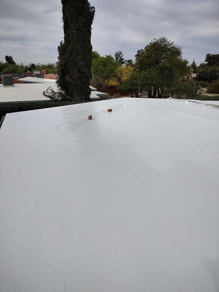 IMG 20220419 081331909 HDR 1000h