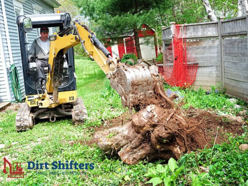 Stump Grinding Near You 3