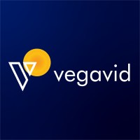 vegavid technology logo 3