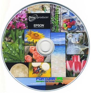 convert digital8 to dvd