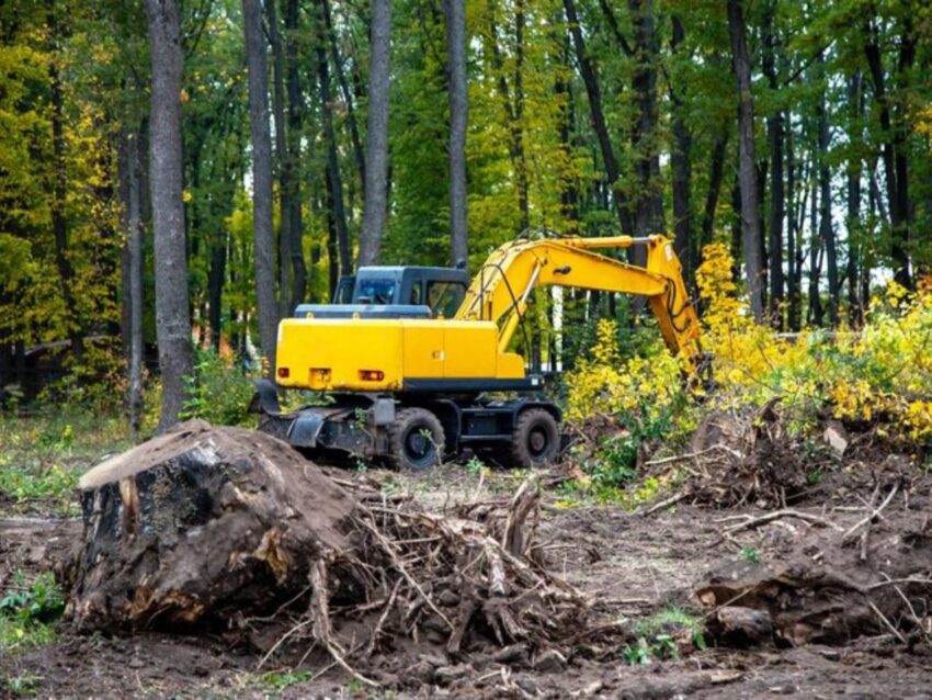 brush removal near you 2