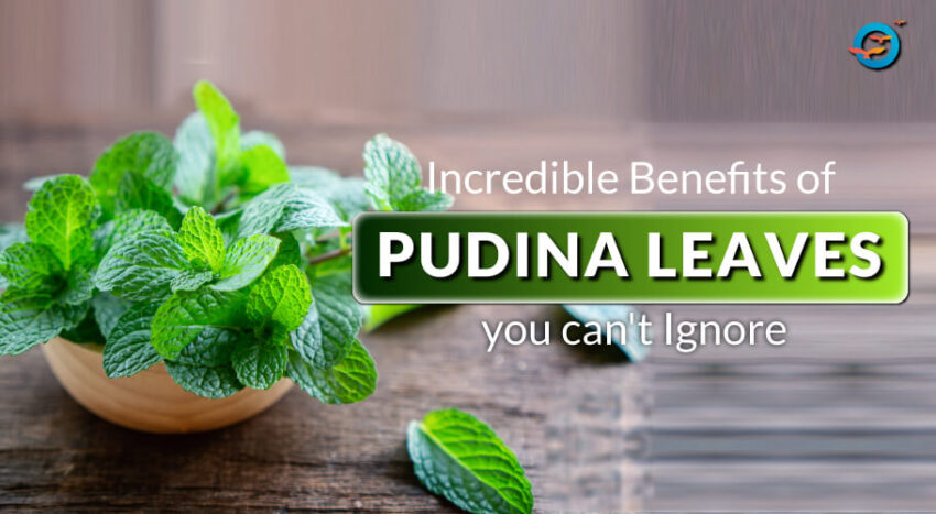 health benefits of Mint Leave