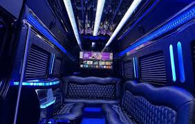Party Bus Rental in the