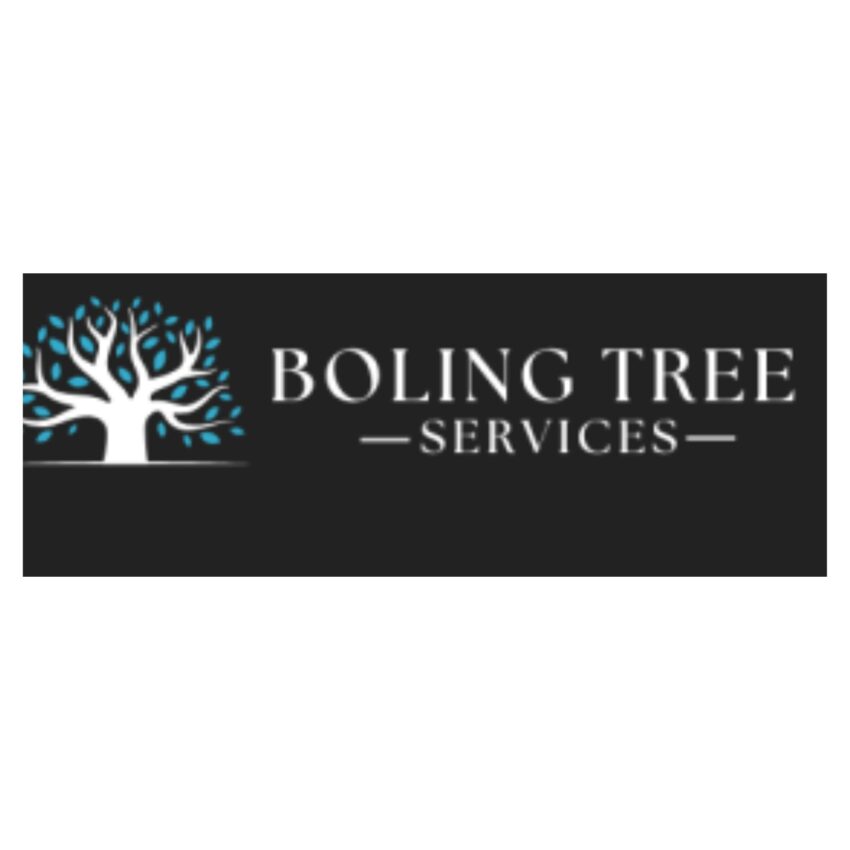 Bolingtree LOGO